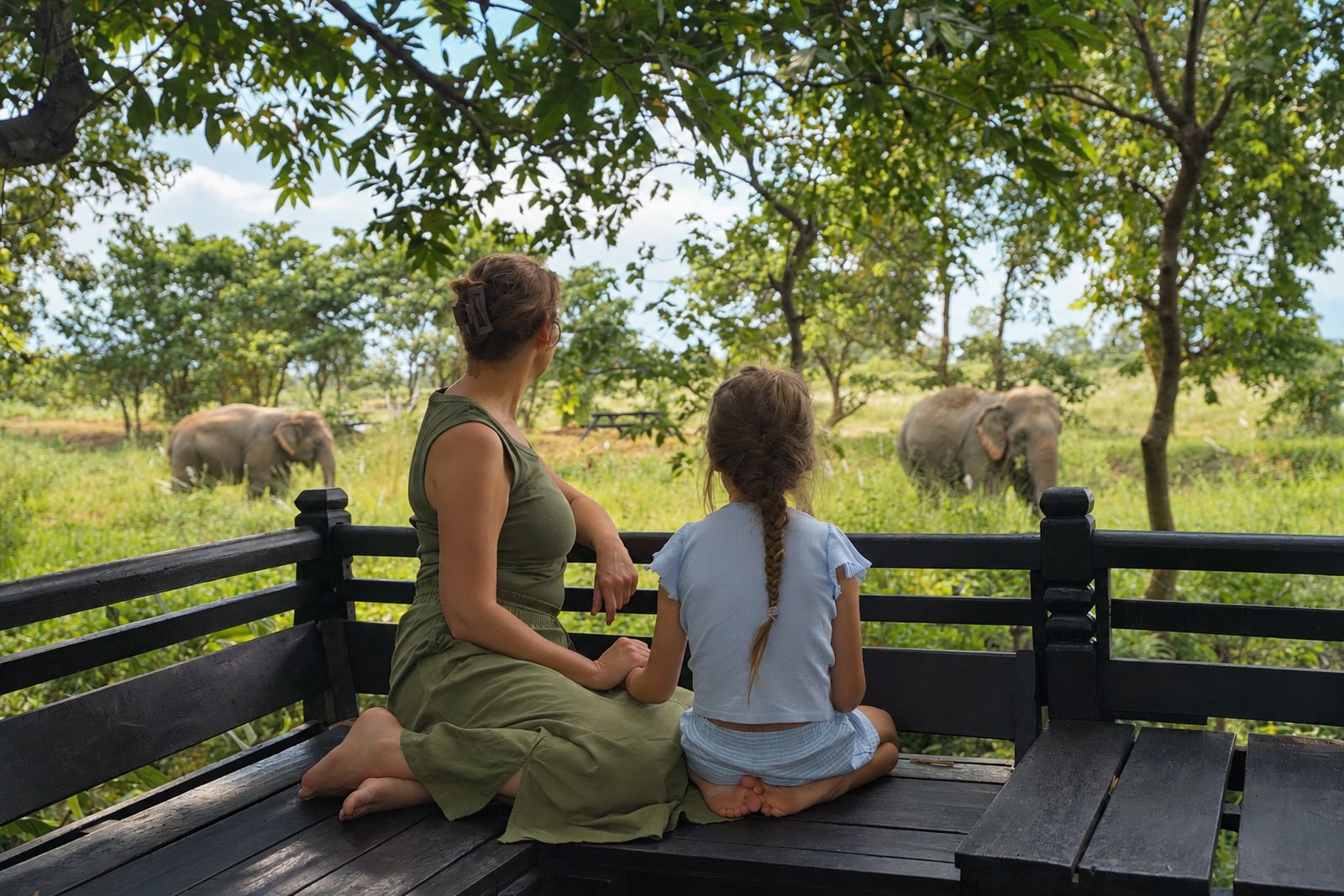 Ethical Elephant Watching
